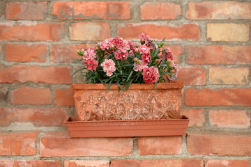 red brick wall and flowers - 85151191