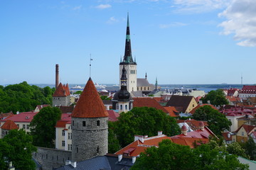 Fototapeta premium tallinn