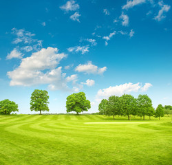 Golf course. Spring field with green grass and blue sky