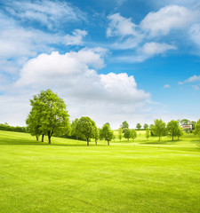 Spring field landscape with green grass, trees and cloudy blue s