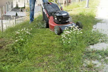 Fototapeta premium Gardener mowing lawn with lawn mover.