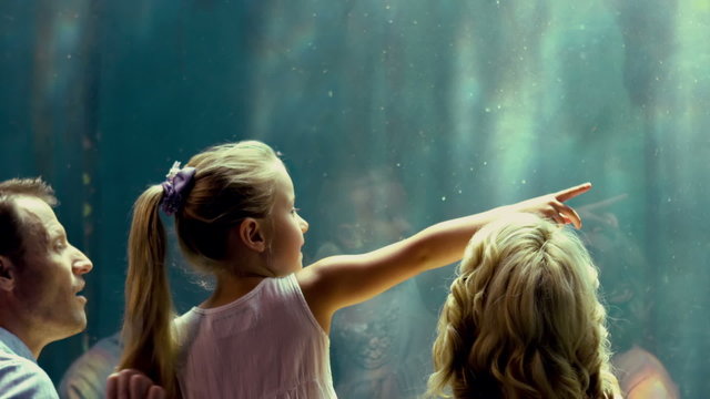 Family pointing at fish in the aquarium