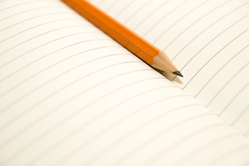 Opened notebook and pencil on the old tissue