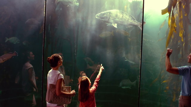 Family looking at fish tank