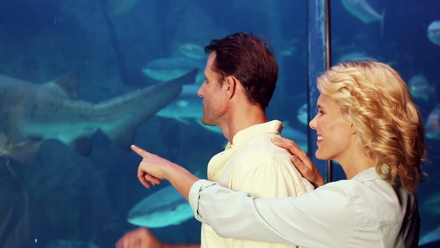 Couple looking at fish in tank