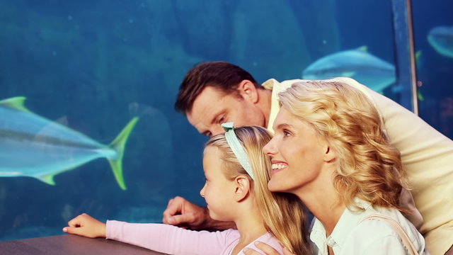 Happy family looking at fish 
