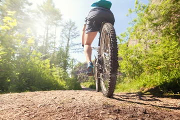 Tableaux ronds sur aluminium brossé Vélo Vélo de montagne sur un sentier forestier