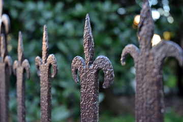 Antique forged metal fence.