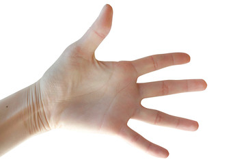 Female hand showing five fingers, Isolated on white background 