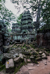 a temple or prasat of laterite in ruins in the archaeological ta prohm place in siam reap, cambodia