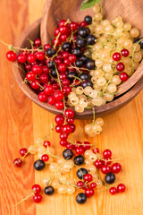 currants different colors - red, black, white