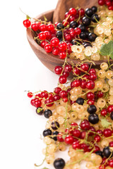currants different colors - red, black, white