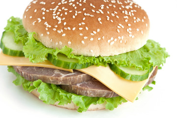 burger with meat and vegetables
