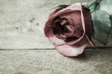 rose on wooden in vintage color style
