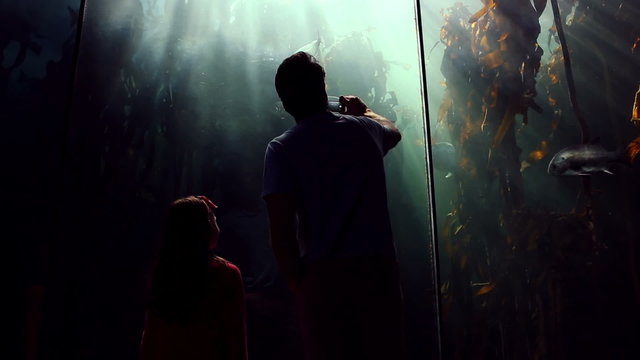 Father and daughter looking at fish tank and taking pictures