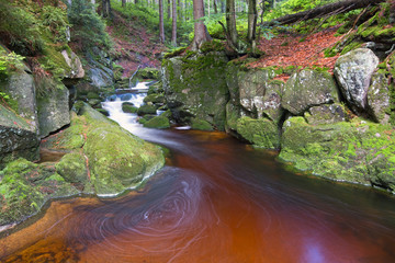 Górski strumień © Patryk Michalski