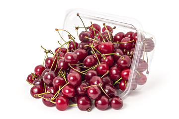 Box or punnet and spilled fresh ripe organic sour cherries isolated on white background