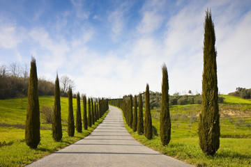 Fototapeta na wymiar Country Tuscany road with cypress trees