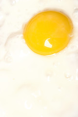Fried egg with one yolk in pan