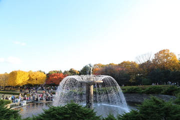 昭和記念公園　噴水　カナール
