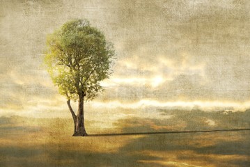 Surreal landscape with single tree