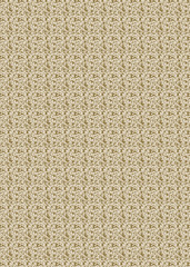Fototapeta premium Vintage Style Decorative Pattern