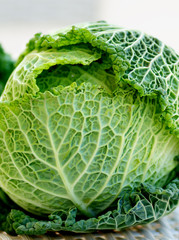 Fototapeta premium Savoy Cabbage