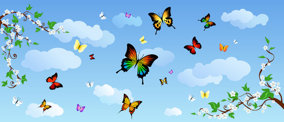 Butterflies in the sky.