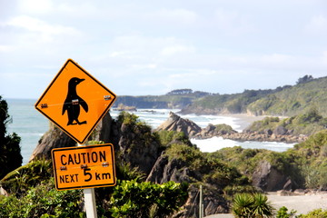 Pinguin Strassenschild