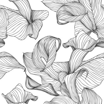 Seamless vector pattern - flowers calla. Black lines on white