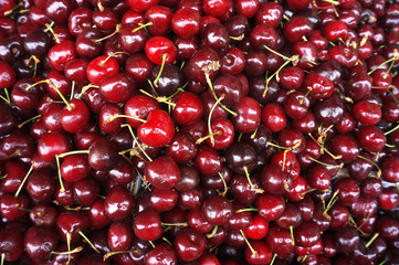 Background of Cherry texture