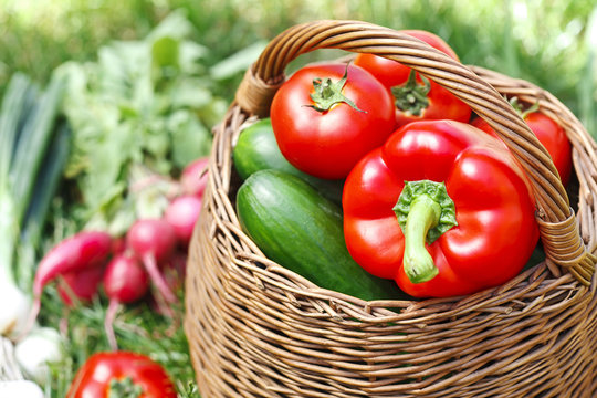 fresh organic vegetables in a wicker basket
