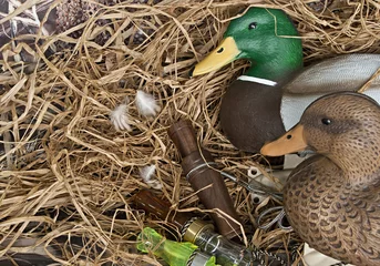 Wall murals Hunting duck decoy with stuffed and calls