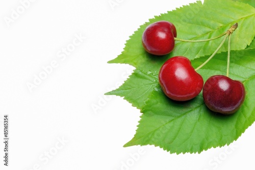 400_F_85165354_9yyAIvQWTQpsVhOmn0GbPCHkOAmWDqYD.jpg