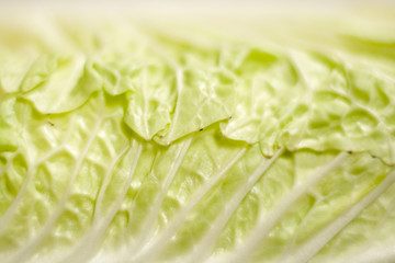 leaf of celery cabbage