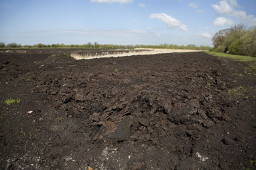 Peat field on the Somerset Levels