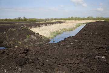 Peat field on the Somerset Levels