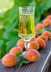 Sweet wine and apricots