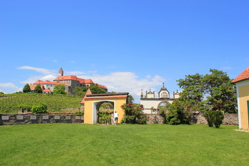 Fototapeta na wymiar Festung Riegersburg mit vorgelagertem Weinberg