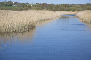 view across the wetlands reserve in Somerset, UK
