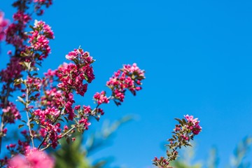 Spring, outdoor, sunlight.