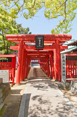 Torii of Fukiage Shinto Srine in Imabari, Japan