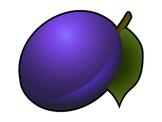 Plum fruit isolated on white background