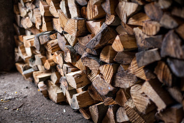 complex firewood for the winter