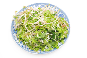 Dish of Vietnamese herbs on a white background
