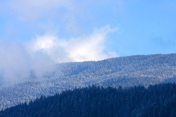 Winter Storm
