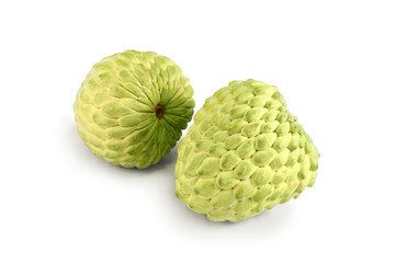 Custard Apple Annona squamosa