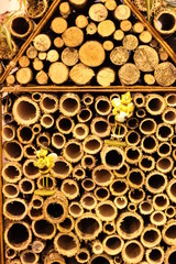 hollow stack of firewood