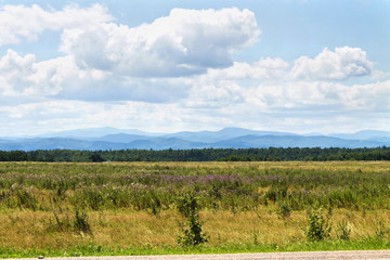 Fototapeta premium green meadow and blue sky with beautiful clouds