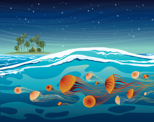 Jellyfish in the sea and coconut island.